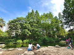 -苏州河梦清园环保主题公园