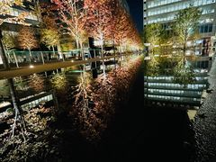 -山葵家居酒屋(天目里店)