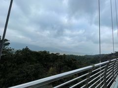 -南丹山森林王国