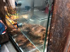 -鹿记油烫鸭(大坝头店)