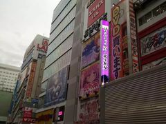 -秋叶原电器街