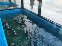 -厦门海底世界