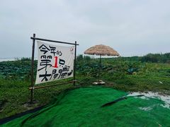 -七的湖·晚芳亭·阳澄湖农家菜·大闸蟹(莲花岛店)