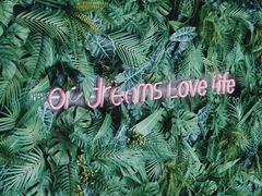 -腾爱熊猫咖啡生活馆(老东门店)