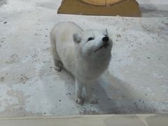 -海合安青岛极地海洋公园