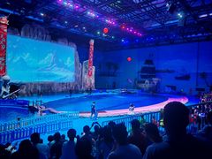 -西安华夏文旅水世界