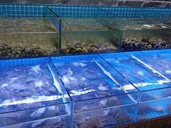 -海韵之星邮轮水会(明发商业广场店)