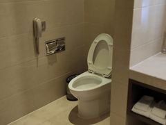 -东方帝景假日酒店