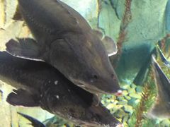 -波塞冬旅游度假区