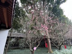 -成都杜甫草堂博物馆