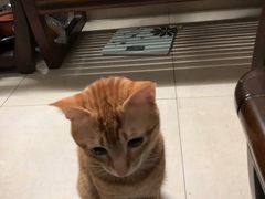 -金城大酒店-中餐厅(汾江中路店)