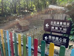 -呀诺达热带雨林