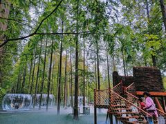 -黄海国家森林公园