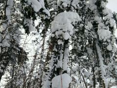 android_upload_pic-雪谷