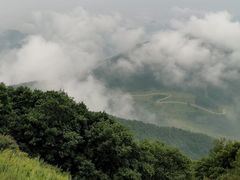 -白草畔自然风景区