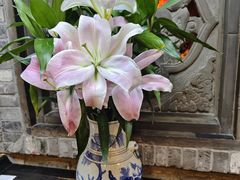 -陈麻婆豆腐(旗舰店)