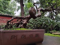 -成都武侯祠博物馆