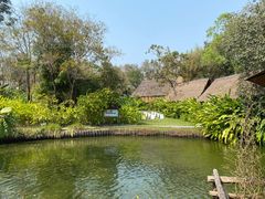 -大象粑粑造纸公园