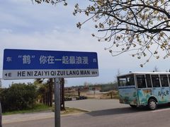 -盐城丹顶鹤湿地生态旅游区