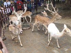 -西安秦岭野生动物园