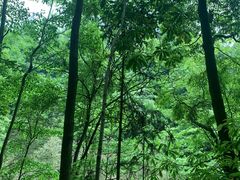 -贵阳猴耳天坑·极限酷玩公园