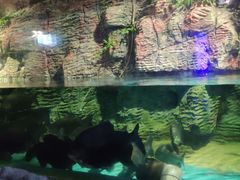 -威海华夏城景区