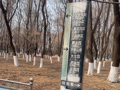 -长白岛森林公园