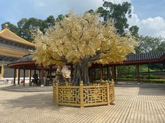 -广东圆玄道观