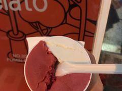 荔枝树莓洛神花-Dip in Gelato(富民路店)