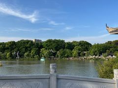 -八大山人梅湖景区