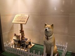-大江户·温泉洗浴(浑南店)