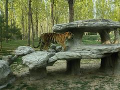 -北京野生动物园