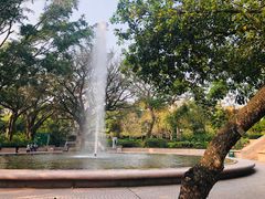 -九龙公园