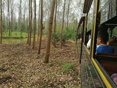 -合肥滨湖国家森林公园