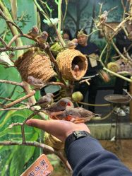 -Zoolung Zoolung动物主题公园(海信广场店)