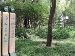-玲珑塔公园