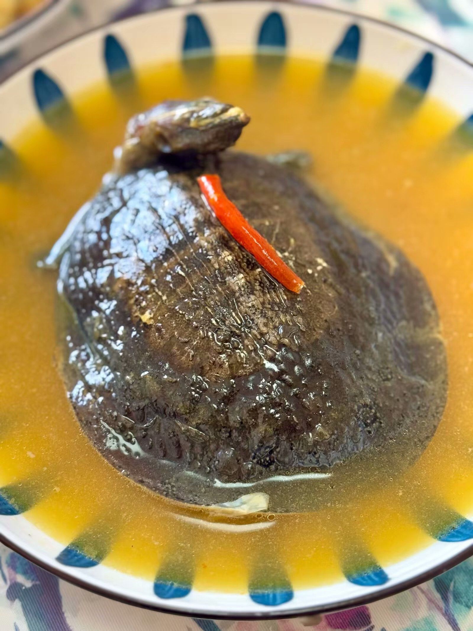 哈哈,这道菜肯定味道不赖!0元玩转这座城 甲鱼汤