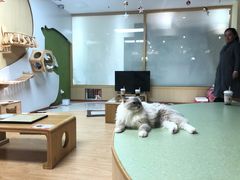-猫和宫(六道口店)