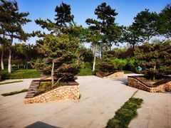 -大锅强·蒸海鲜青岛菜(吾悦广场店)