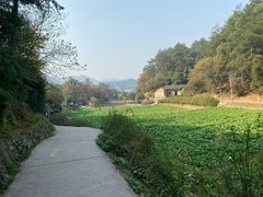 -韶山毛泽东同志故居