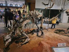 -自贡恐龙博物馆