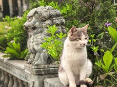 -高旻寺