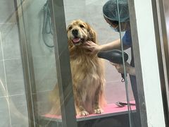 -宠福鑫康馨动物医院·骨科·眼科
