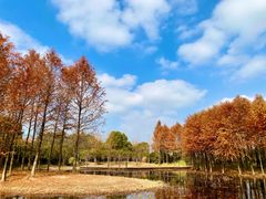 -长广溪湿地公园