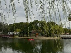 -新江湾城公园