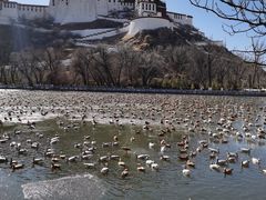 -宗角禄康公园