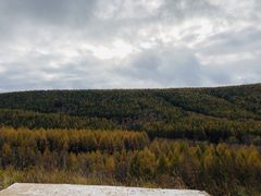 -塞罕坝国家级自然保护区