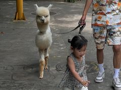 -灵玲国际马戏城