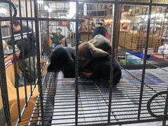 -尚泰清迈机场购物中心