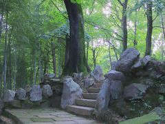 -峙山公园